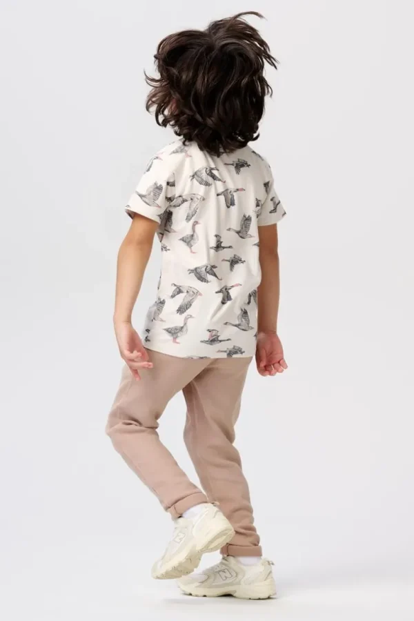 Noppies Broeken<Broek Dixon - Rabbit