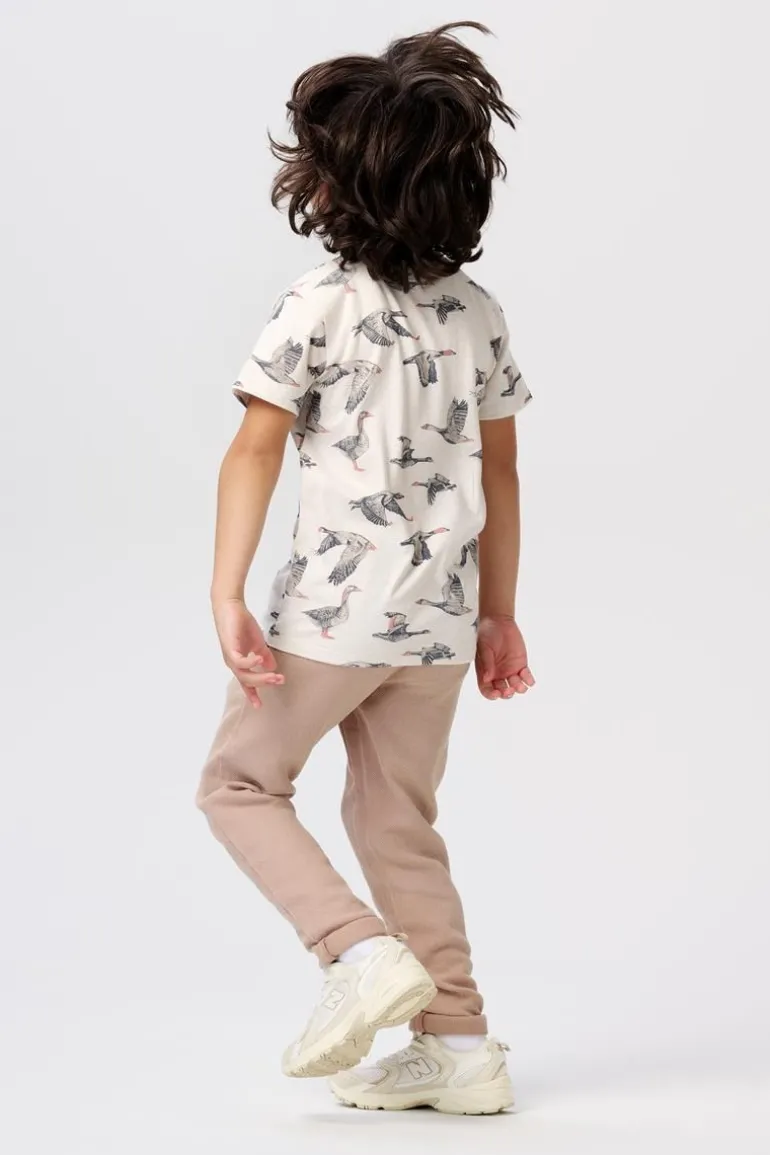 broek_dixon__rabbit_1.webp Noppies Broeken<Broek Dixon - Rabbit