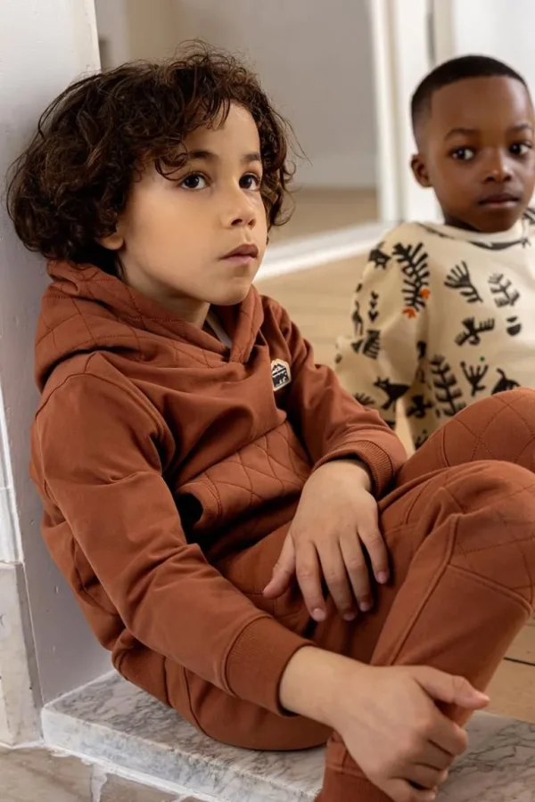 Noppies Broeken<Broek Hannover - Brown Patina