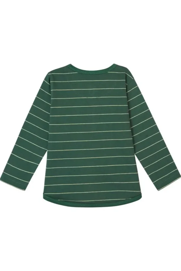 Noppies Shirts<Longsleeve Groslayn - Garden Topiary