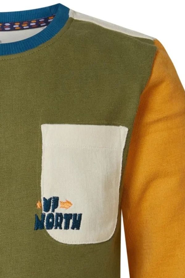 Noppies Shirts<Longsleeve Hoymille - Olive Branch