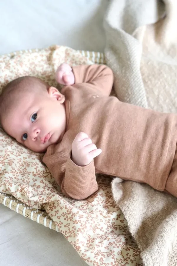 Noppies Shirts | Basics<Longsleeve Natal - Cafe Au Lait Melange