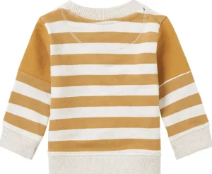 Noppies Truien<Sweater Maize - Apple Cinnamon