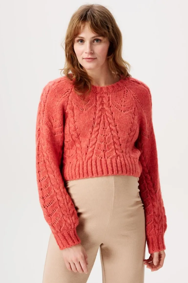 trui_met_voedingsfunctie__0-4.webp Noppies Truien & Sweaters | Truien & Sweaters<Trui Met Voedingsfunctie Esbjerg - Mineral Red