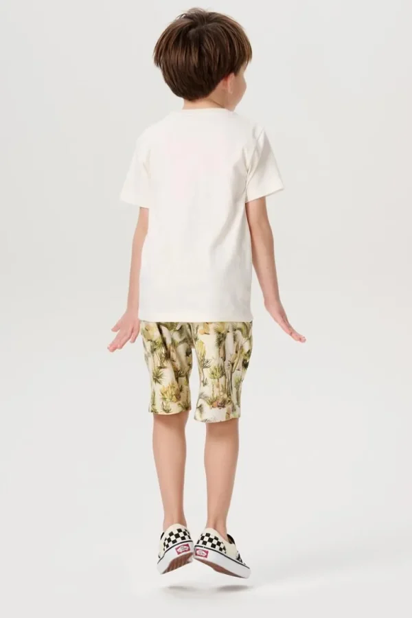 Noppies Shirts<T-shirt Darby - Whisper White