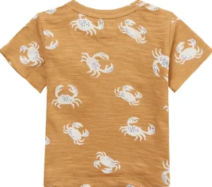 Noppies T-Shirts<T-shirt Mentor - Apple Cinnamon