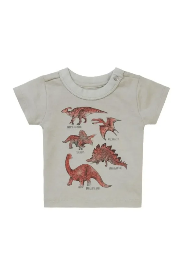 Noppies T-Shirts<T-shirt Momence - Willow Grey