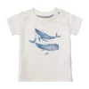 Noppies T-Shirts<T-shirt Montevallo - Pristine
